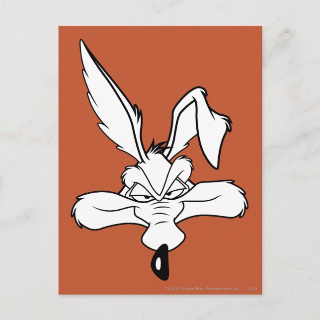 WILE E. COYOTE™ Happy Head Shot Postcard (Front)