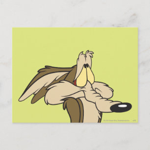 WILE E. COYOTE™ Impending Doom Postcard