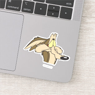 WILE E. COYOTE™ Impending Doom Sticker