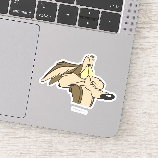 WILE E. COYOTE™ Impending Doom Sticker (Detail)