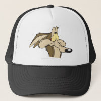WILE E. COYOTE™ Impending Doom