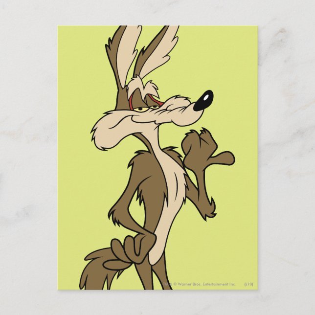 WILE E. COYOTE™ Looking Proud Postcard (Front)
