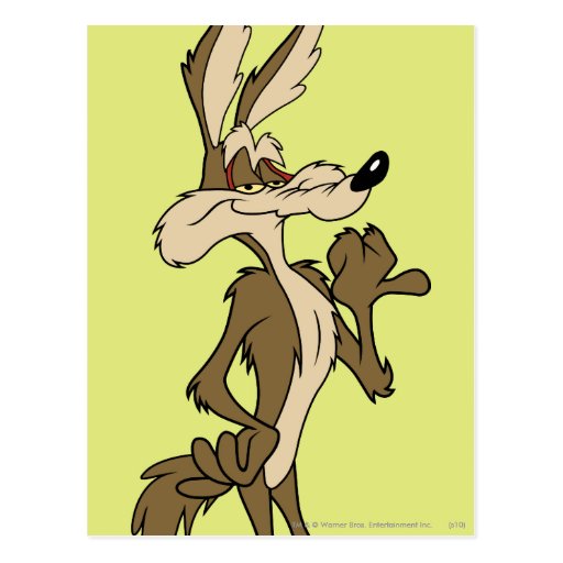 WILE E. COYOTE™ Looking Proud Postcard | Zazzle