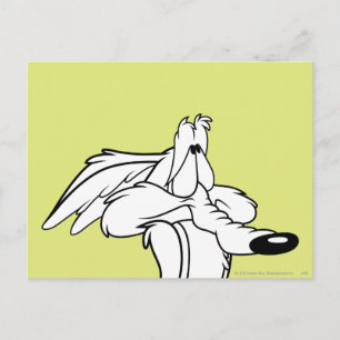 WILE E. COYOTE™ Looking Up Postcard