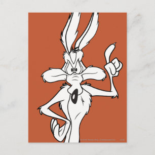WILE E. COYOTE™ Making a Point Postcard