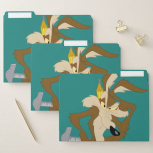WILE E. COYOTE™ Planning File Folder