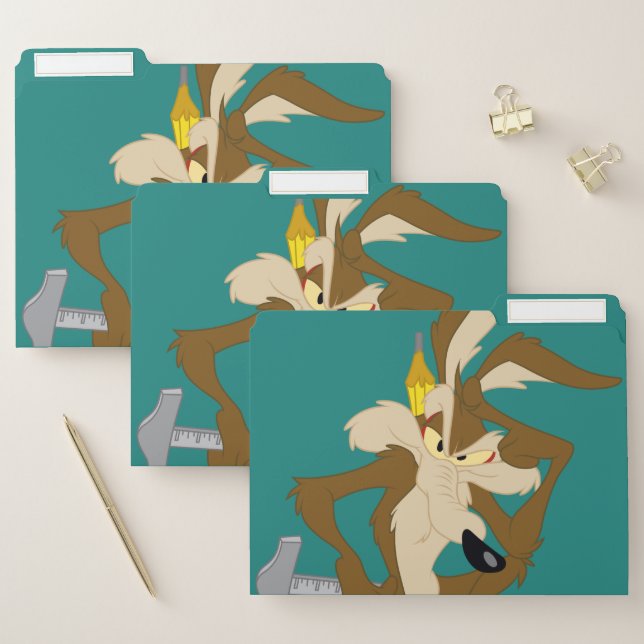 WILE E. COYOTE™ Planning File Folder (Set)