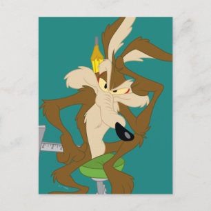 WILE E. COYOTE™ Planning Postcard