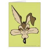 WILE E. COYOTE™ Pleased Head Shot (Front)