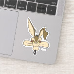 WILE