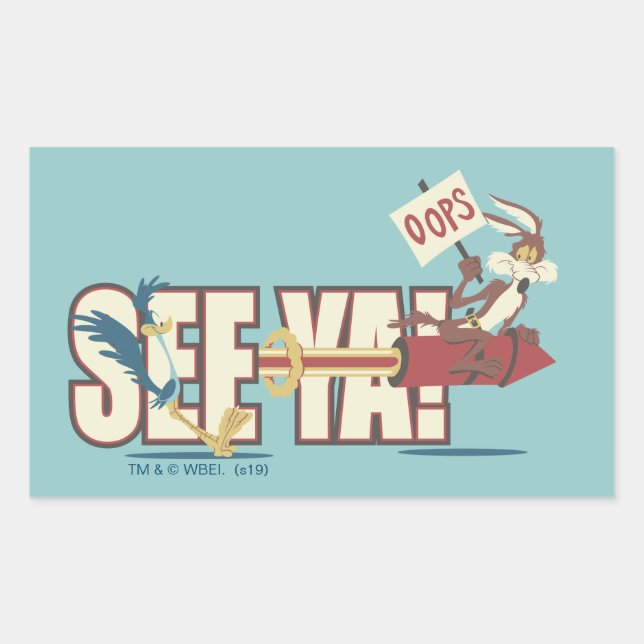 WILE E. COYOTE™ Rocketing Past ROAD RUNNER™ Rectangular Sticker (Front)