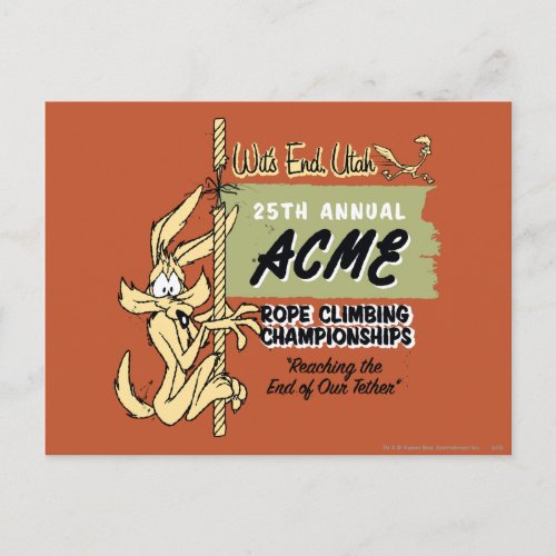 WILE E COYOTE Rope Climbing Championships Postcard