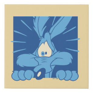 WILE E. COYOTE™ Shocked Expression Faux Canvas Print