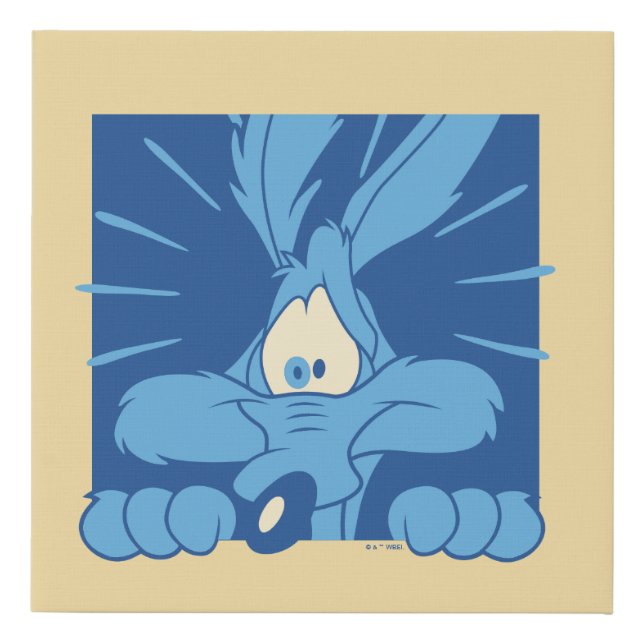 WILE E. COYOTE™ Shocked Expression Faux Canvas Print (Front)