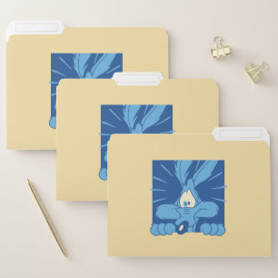 WILE E. COYOTE™ Shocked Expression File Folder