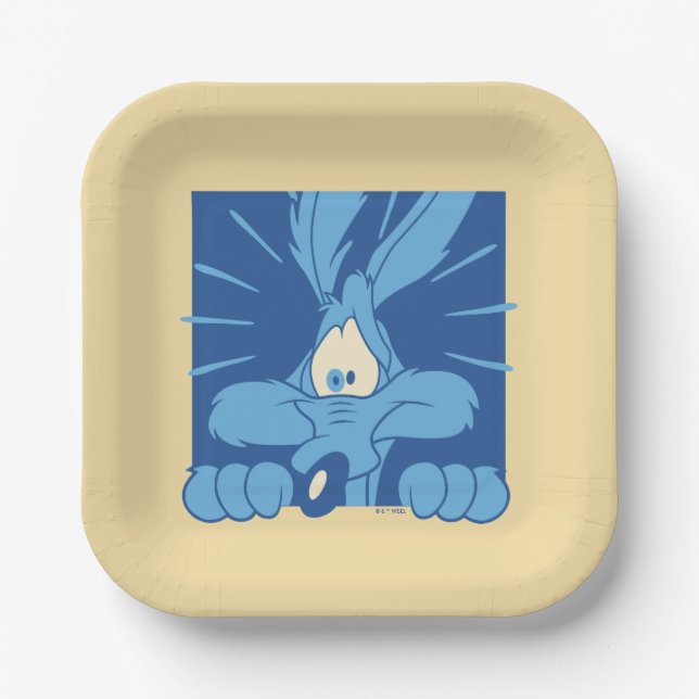 WILE E. COYOTE™ Shocked Expression Paper Plates (Front)