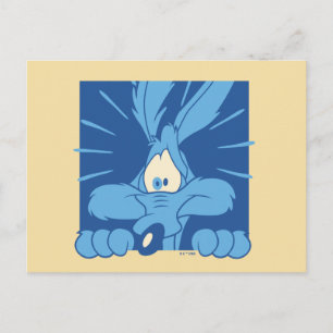 WILE E. COYOTE™ Shocked Expression Postcard