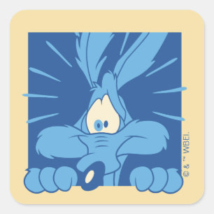 WILE E. COYOTE™ Shocked Expression Square Sticker