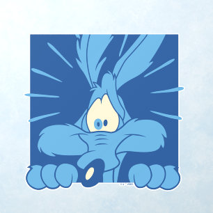 WILE E. COYOTE™ Shocked Expression Wall Decal