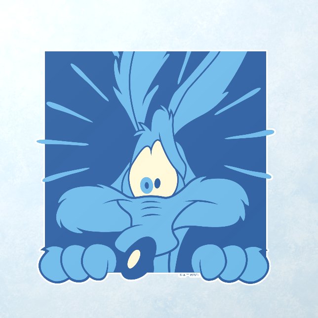 WILE E. COYOTE™ Shocked Expression Wall Decal (Insitu 1)