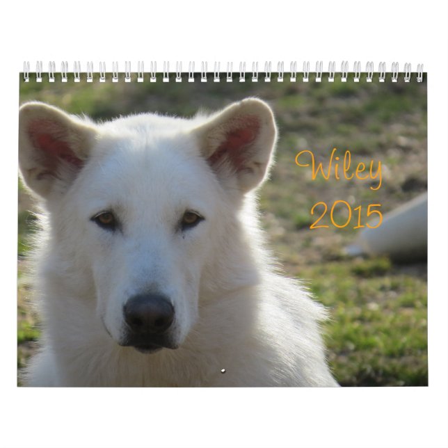 Wiley Calendar (Cover)