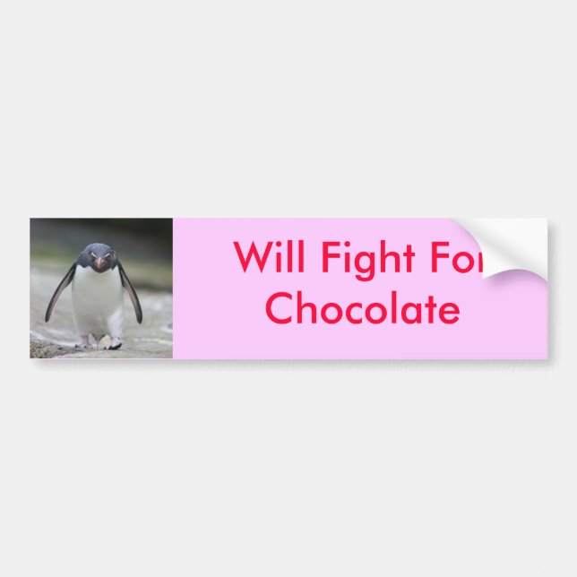 Will Fight For Chocolate Bumper Sticker (Front)