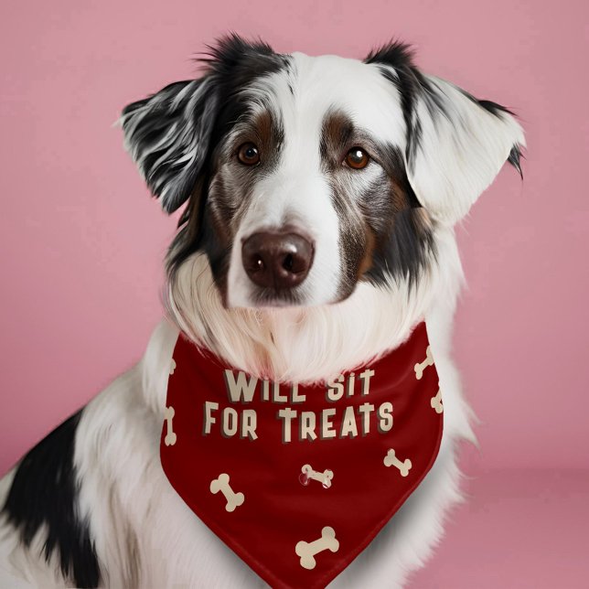 Will Sit for Treats Bone Funny Dog Pet Bandana Collar (Creator Uploaded)