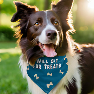 Will Sit for Treats Bone Funny Dog Pet Bandana Collar