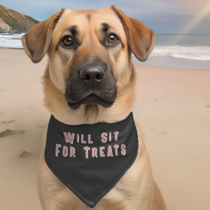Will Sit for Treats Funny Dog Pet Bandana Collar
