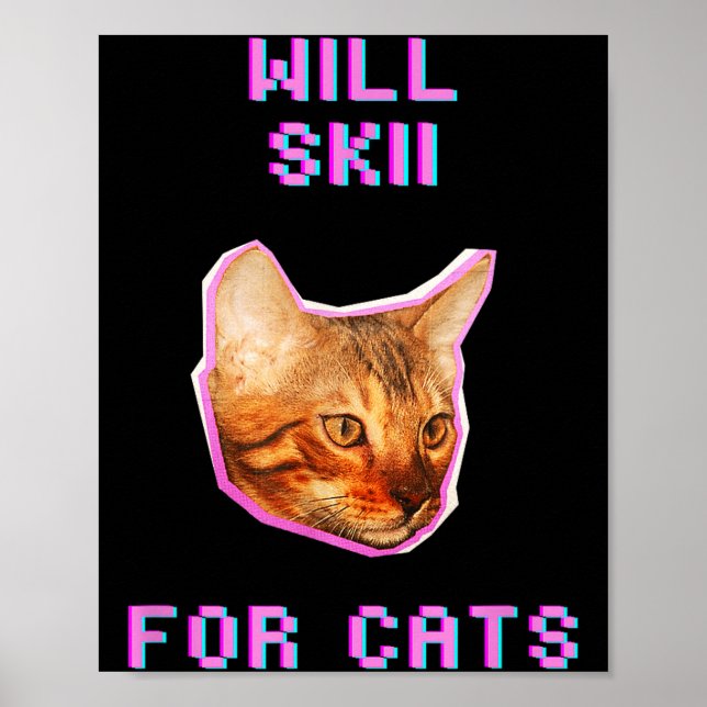 Will skiing for cats funny winter snow adventure  poster (Front)