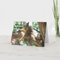 Will you be my Valentine_ Card_by Elenne Boothe