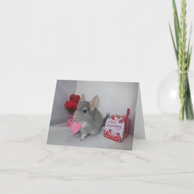 Will you be my Valentine chinchilla  Card (Front)