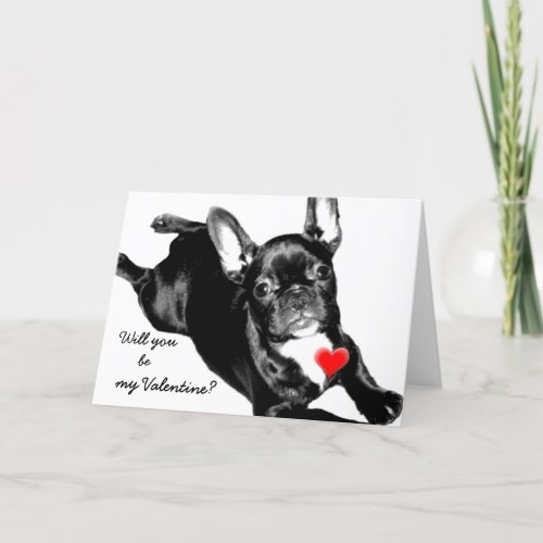 Will you be my Valentine French Bullcard Holiday Card