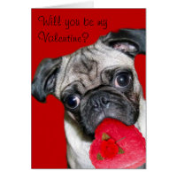Will you be my Valentine pug greeting card