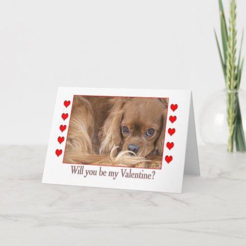 Will you be my Valentines Day Spaniel Card