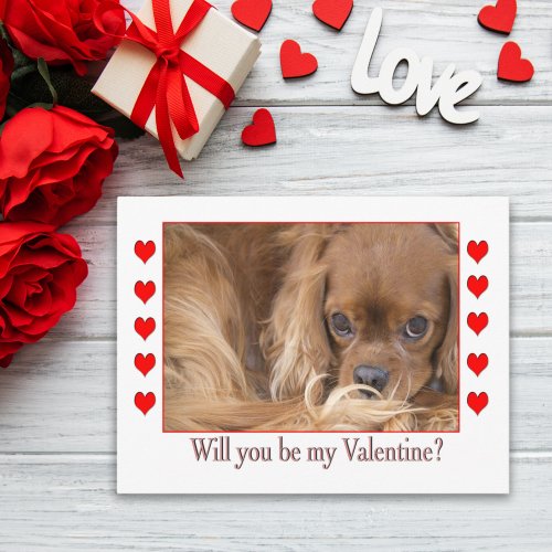 Will you be my Valentines Day Spaniel Postcard