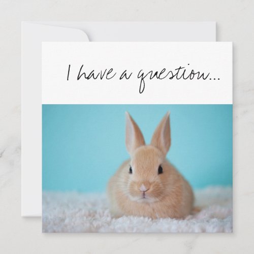 Will You be the GodParent Proposal Brown Bunny Card