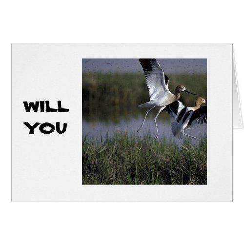 WILL YOU COME FLY AWAY WITH ME LOVE CARD
