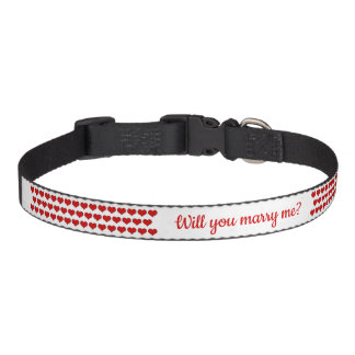 Will you marry me? Hearts and lettering in red Pet Collar