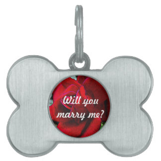 "Will you marry me?" message on red rose Pet ID Tag