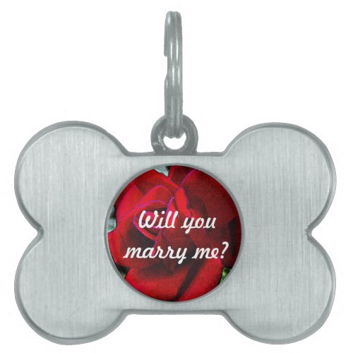 Will you marry me message on red rose Pet ID Tag