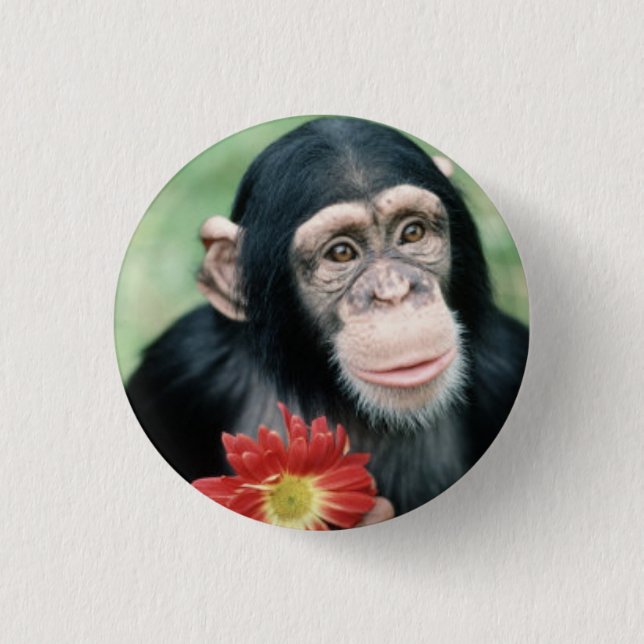 Will You Marry Me? Pinback Button (Front)