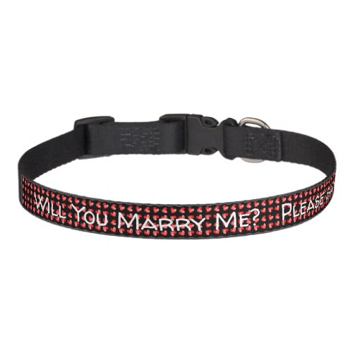 Will you marry me Proposal dog collar