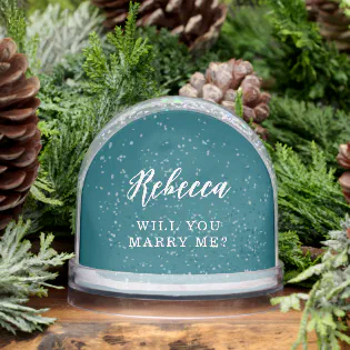 Will You Marry me Wedding Proposal Photo Snow Globe