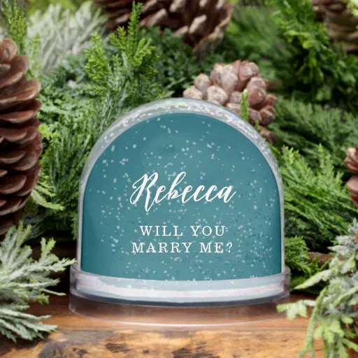Will You Marry me Wedding Proposal Photo Snow Globe