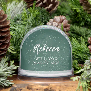 Will You Marry Me Wedding Proposal Photo Snow Globe