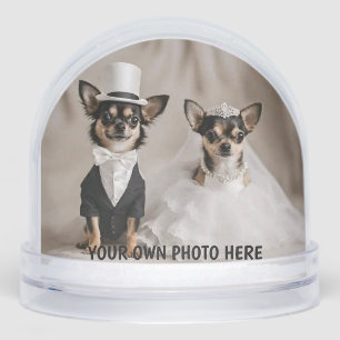 Will You Marry Us 2 Sided Snow Globe