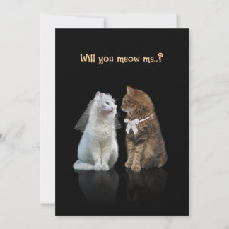 Will you meow me..? Card