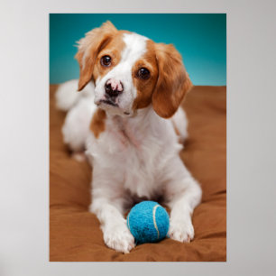 Will you play ball with me? poster