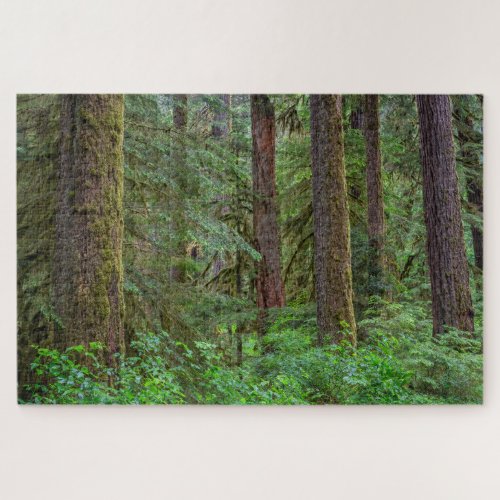 Willamette National Forest  Oregon Jigsaw Puzzle